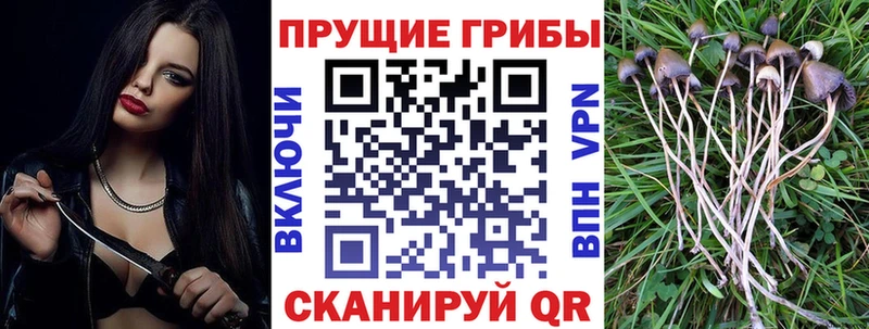 Галлюциногенные грибы прущие грибы  Мегион 
